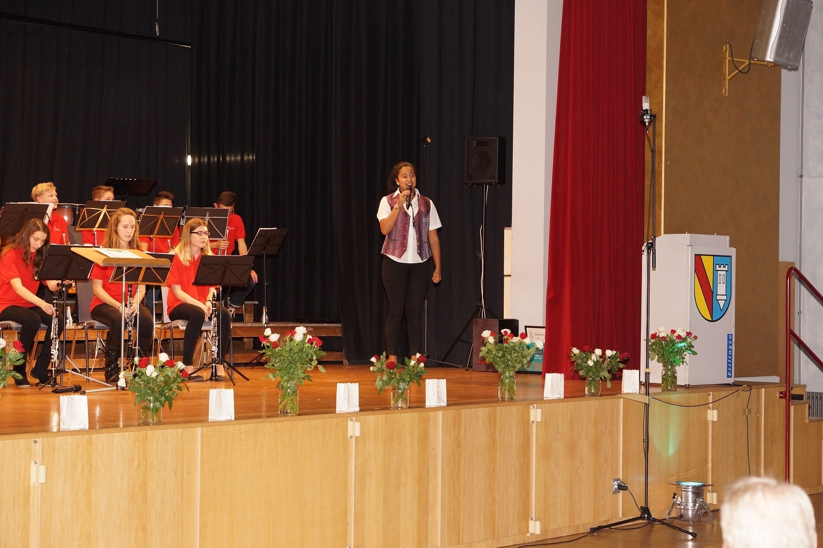 (FILEminimizer) k-DSC06924 