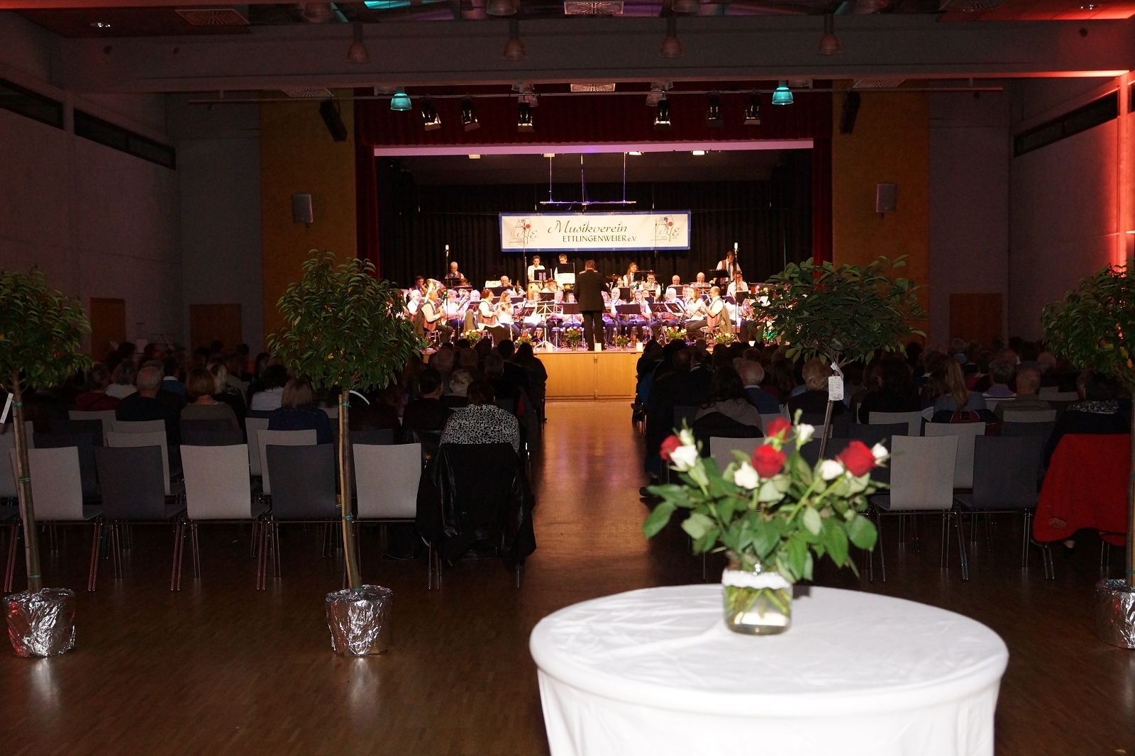 (FILEminimizer) k-DSC07005 