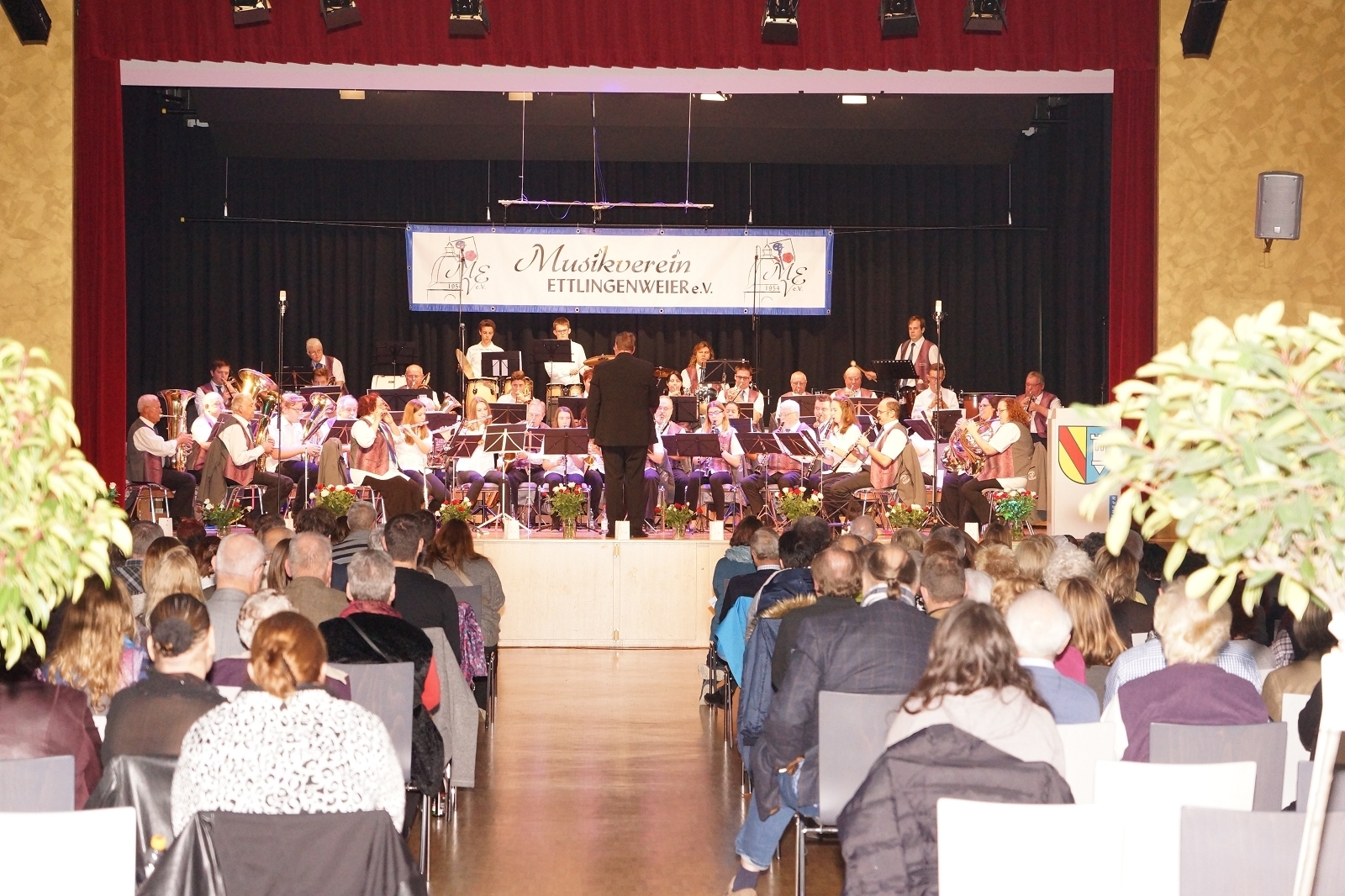 (FILEminimizer) k-DSC07007 