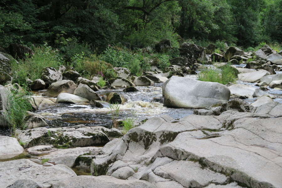 [compressed] MVE Ausflug Jugendorchester 2017 068