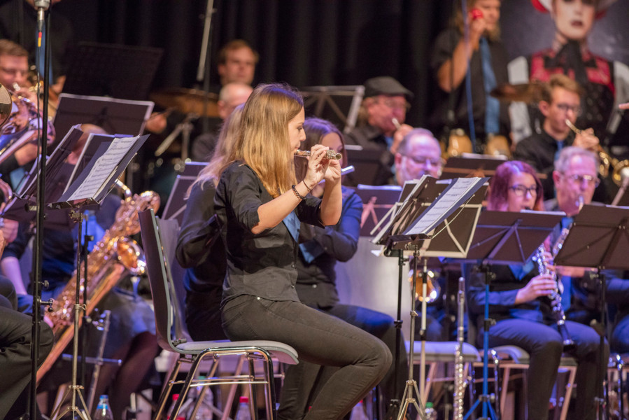 [compressed] MVE Konzert 2017 232