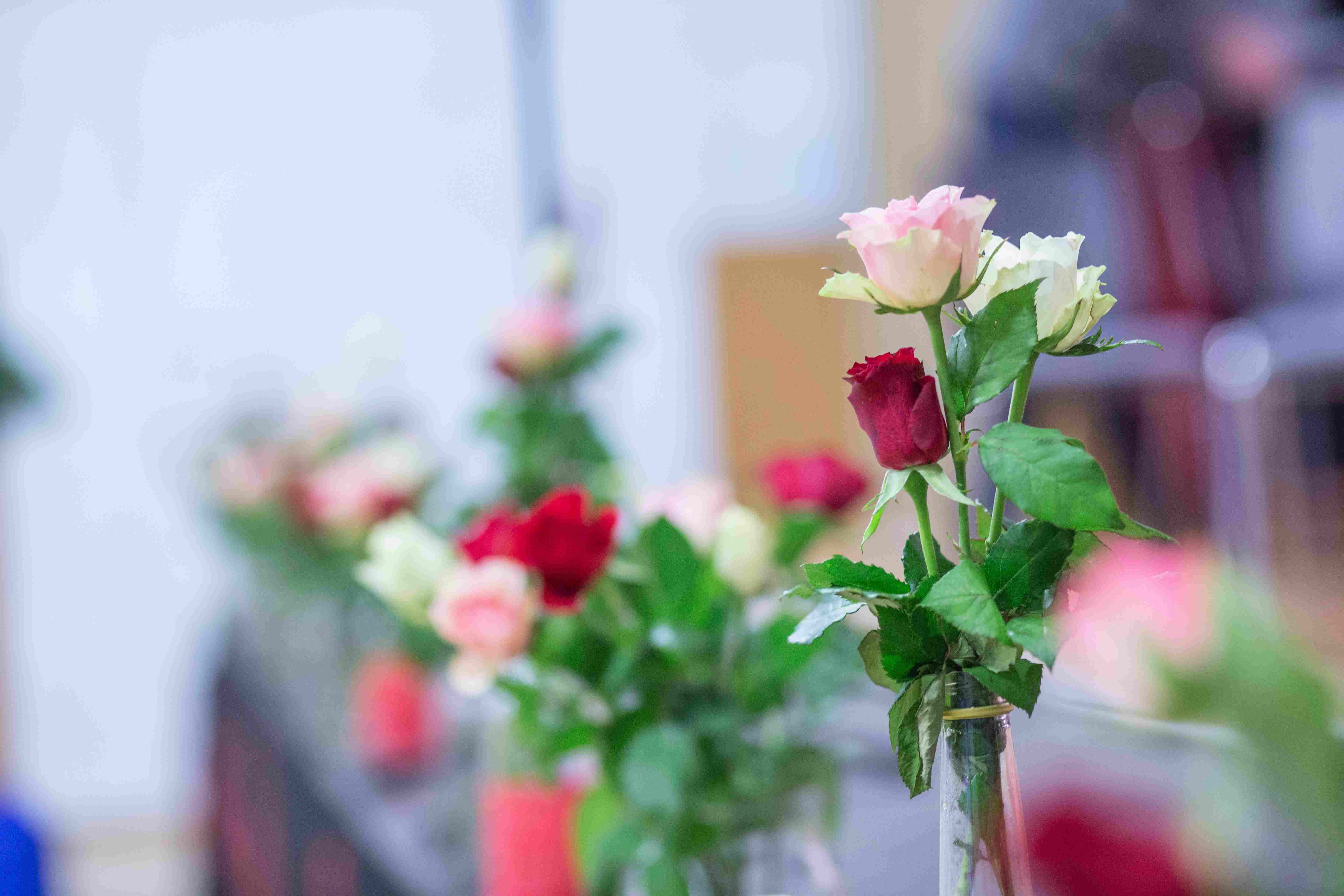 [compressed]20191123 1042